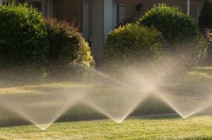 We Install All Brands of Irrigation Systems in Encinitas